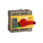 Schneider Distribution - interrupteur-sectionneur - Interpact INS63 - 4P - 63 A - 28919 – Image 2