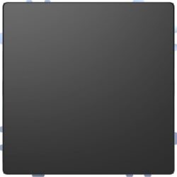Détails visibles de Bouton poussoir KNX Pro avec sonde température anthracite pour Boutons-poussoirs domotiques