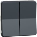 Schneider Residential - Mureva Styl - Double va et vient - composable - IP55 -IK08-connexion auto - gris - MUR35019