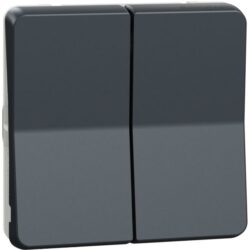 Schneider Residential - Mureva Styl - Double va et vient - composable - IP55 -IK08-connexion auto - gris - MUR35019