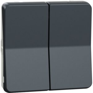 Schneider Residential - Mureva Styl - Double va et vient - composable - IP55 -IK08-connexion auto - gris - MUR35019