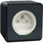 Schneider Residential - Mureva Styl - Prise courant 2P+T - saillie - IP55 - IK08 - connexion auto - gris - MUR35031
