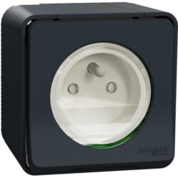 Schneider Residential - Mureva Styl - Prise courant 2P+T - saillie - IP55 - IK08 - connexion auto - gris - MUR35031