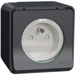 Schneider Residential - Mureva Styl - Prise de courant 2P+T à vis - saillie - IP55 - IK08 - gris - MUR36030