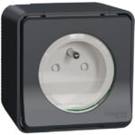 Schneider Residential - Mureva Styl - Prise de courant 2P+T à vis - saillie - IP55 - IK08 - gris - MUR36030
