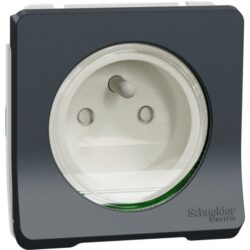 Schneider Residential - Mureva Styl - Prise de courant 2P+T - composable -IP55-IK08 - connex auto - gris - MUR36133