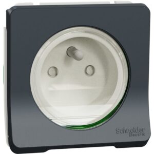 Schneider Residential - Mureva Styl - Prise de courant 2P+T - composable -IP55-IK08 - connex auto - gris - MUR36133