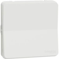 Schneider Residential - Mureva Styl - Va et vient - composable - IP55 - IK08 - connexion auto - blanc - MUR39723