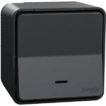 Schneider Residential - Mureva Styl - Va et vient lumineuxLED - saillie - IP55 IK08 - connex auto - gris - MUR35024