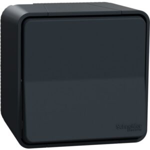 Schneider Residential - Mureva Styl - Va et vient - saillie - IP55 - IK08 - connexion auto - gris - MUR35021