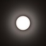 TECHNOLUX - DROP 22 - plafonnier - E27 - 1x 60W - IP55 - D228x95mm - anthracite - 004960