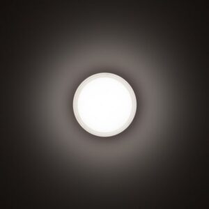 Plafonnier rond anthracite à diffusion lumineuse circulaire pour extérieur