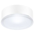 TECHNOLUX - DROP 22 - plafonnier - E27 - 1x 60W - IP55 - D228x95mm - blanc - 004961