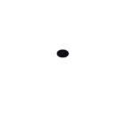 TRIZO 21 - Covers C6 BLACK (2x) / ?: 60 / False ceiling / only for Austere-Suspension RF - 22CO 2200