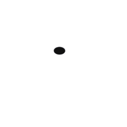 TRIZO 21 - Covers C6 BLACK (2x) / ?: 60 / False ceiling / only for Austere-Suspension RF - 22CO 2200