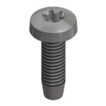Van der Valk - Boulon autotaraudant M6x20mm - T30 - 773320