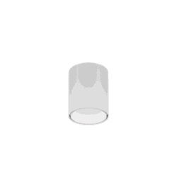 WEVER & DUCRE - RAY MINI CEILING SURF 1.0 LED 3000K W-W - 258254WW5