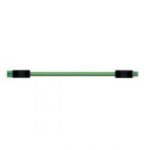 WIELAND - Cordon BST14i2 2m M/F 0
