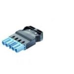 WIELAND - Male connector with strain relief GST18I5S S1 ZR1 S PB02 - 92.954.4453.0