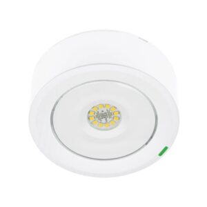 ZEMPER - SPAZIO LUZ AUTOTEST 425lm P/NP 1h IP42/IK04 BLANC 230V 50Hz - LUZ4400LXP