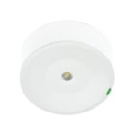 ZEMPER - SPAZIO ON A DALI2 250lm P/NP 1h IP42/IK04 BLANC 230V 50Hz - LSM3250LAP