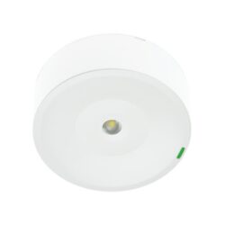 Bloc de secours LED DALI2 250 lm blanc, montage Pose murale/au plafond