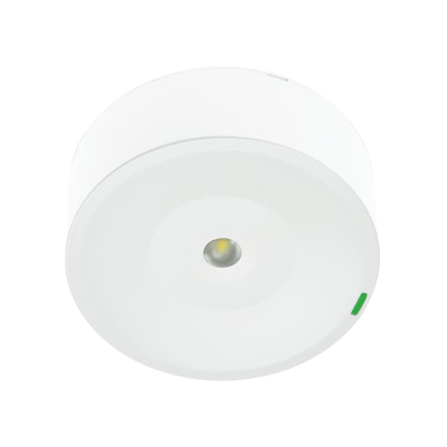 ZEMPER - SPAZIO ON A DALI2 250lm P/NP 1h IP42/IK04 BLANC 230V 50Hz - LSM3250LAP ZEMPER - SPAZIO ON A DALI2 250lm P/NP 1h IP42/IK04 BLANC 230V 50Hz - LSM3250LAP