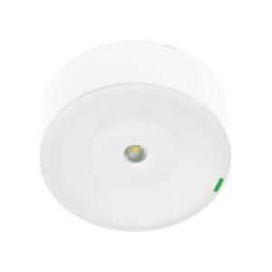 ZEMPER - SPAZIO ON A SMARTZ 250lm P/NP 1h IP42/IK04 BLANC 230V 50Hz - LSM3250LWP