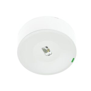 ZEMPER - SPAZIO ON P AUTOTEST 250lm P/NP 1h IP42/IK04 BLANC 230V 50Hz - LSM3251LXP