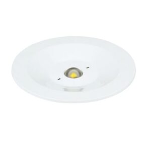 ZEMPER - SPAZIO-R-Antipanic-NP-Basic 200lm NP 1h IP42/IK04 - LSR3200C