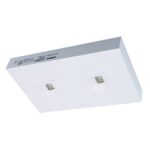 ZEMPER - SPAZIO TOLED W AUTOTEST 500lm P/NP 1h IP42/IK04 BLANC 230V 50Hz - LST3502LXP