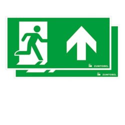 Détails visibles de Pictogramme de sécurité sortie haut CROSSIGN 160 SP-2UP pour Éclairage de secours