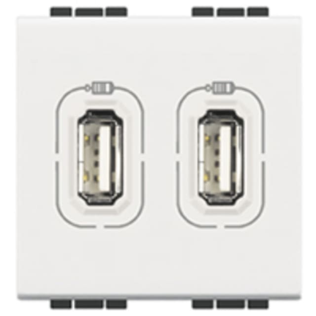 BTICINO - LL chargeur 2xUSB 1500mA 2 mod blanc - N4285C2 BTICINO - LL chargeur 2xUSB 1500mA 2 mod blanc - N4285C2