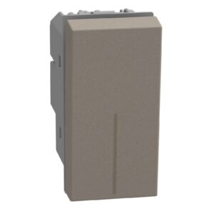 BTICINO - LightN inter bipolaire 16AX 1 mod - stone - YG4002