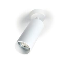 Détails visibles de Spot plafond orientable blanc GU10 35W pour Spots en saillie