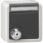 GIRA - SCHUKO clap. serrure id. + ZI Mont.app. prot.eau gris - 456930