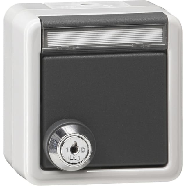 GIRA - SCHUKO clap. serrure id. + ZI Mont.app. prot.eau gris - 456930 GIRA - SCHUKO clap. serrure id. + ZI Mont.app. prot.eau gris - 456930