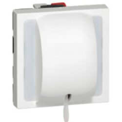 Détails visibles de Poussoir inverseur à tirage blanc 6A 250V 2 modules pour Interrupteurs à tirette