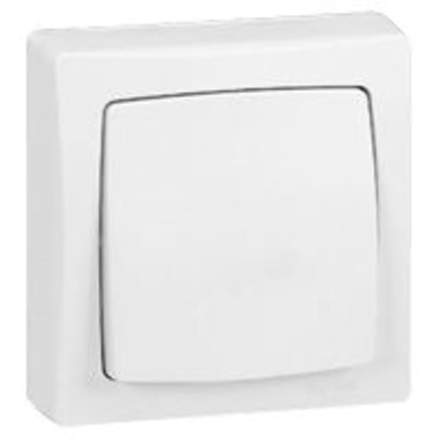 LEGRAND - Oteo interrupteur bipolaire 10 A - 250 V - monobloc - 086003 LEGRAND - Oteo interrupteur bipolaire 10 A - 250 V - monobloc - 086003