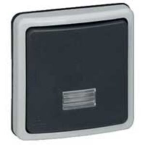 LEGRAND - Plexo66 inter 2d bip. IP66-IK08-10A-230V - 090484