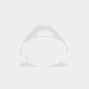 LIT by Cardi - Reflector PC pour highbay Titan 0017160049