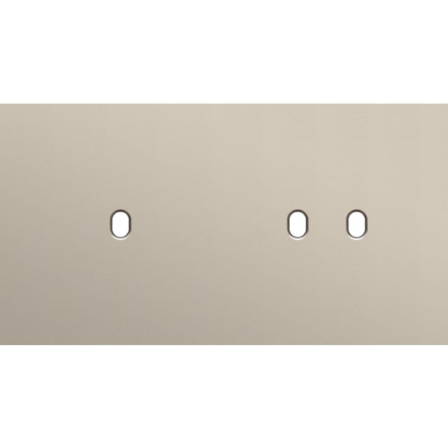 Plaque double horizontale acier NIKO Toggle détail produit Plaque double horizontale acier champagne, finition steel champagne coated