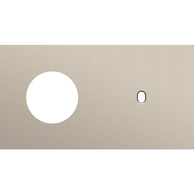 Plaque double horizontale interrupteur NIKO Toggle détail produit Plaque double horizontale interrupteur prise 71 mm, finition steel champagne coated