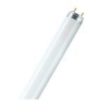 OSRAM - LUMILUX® T8 1 m 36 W/840-1 - 4050300518091