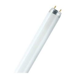 OSRAM - LUMILUX® T8 1 m 36 W/840-1 - 4050300518091
