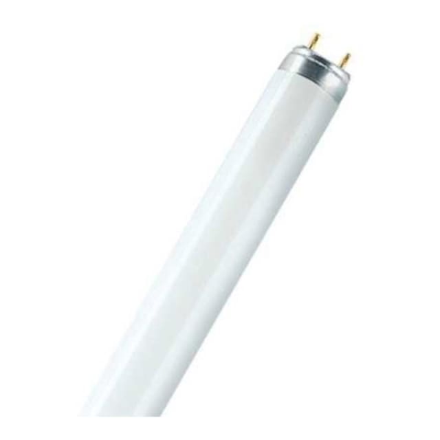 OSRAM - LUMILUX® T8 1 m 36 W/840-1 - 4050300518091 OSRAM - LUMILUX® T8 1 m 36 W/840-1 - 4050300518091