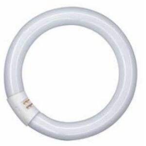 OSRAM - LUMILUX® T9 C 22 W/840 G10Q - 4008321581082
