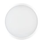 PIL - CLY 15 S/EW 830/40 WH87 EM3 DLS DETEK - 3116568