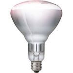 Philips Lighting - BR125 Infrarouge 250W E27 CL dimmable lampe infrarouge industrie - 8711500575234