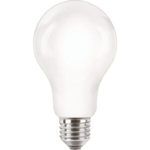 Détails visibles de Ampoule LED E27 A67 13W 4000K 2000lm CorePro Philips pour Ampoules E27